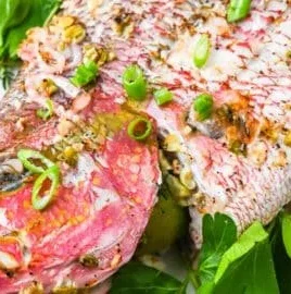 Caribbean grilled snapper served with garlic aioli sauce