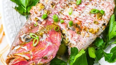 Caribbean Grilled Snapper with Garlic Aioli