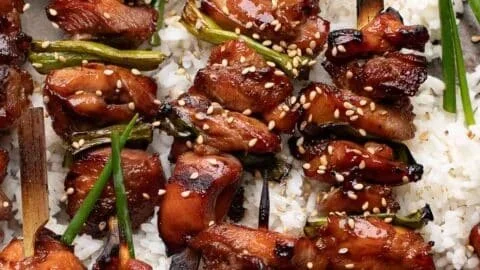 Grilled Teriyaki Chicken Skewers (Chicken on a Stick)