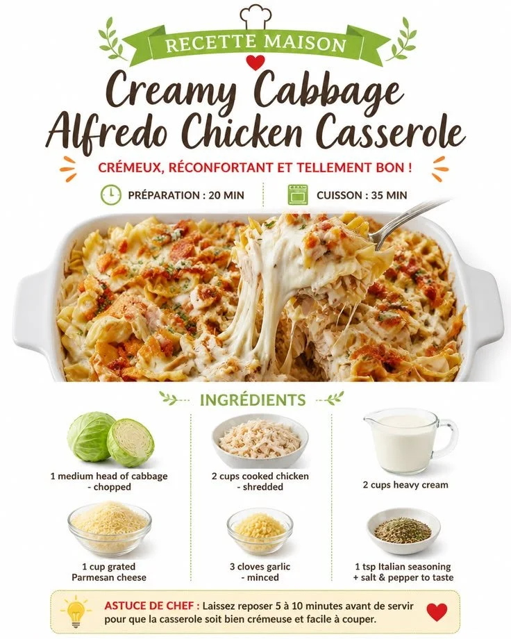Creamy Cabbage Alfredo Chicken Casserole