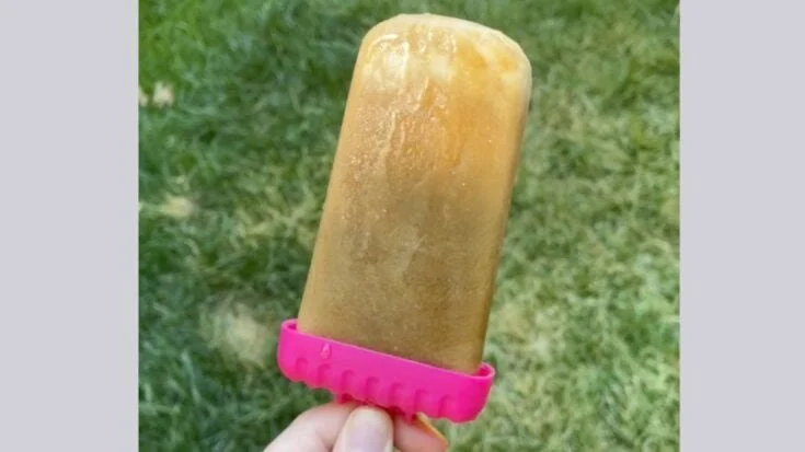 Iced Coffee Popsicles Recipe